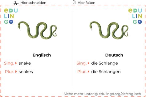 schlange englisch|Translate Schlange from German to English